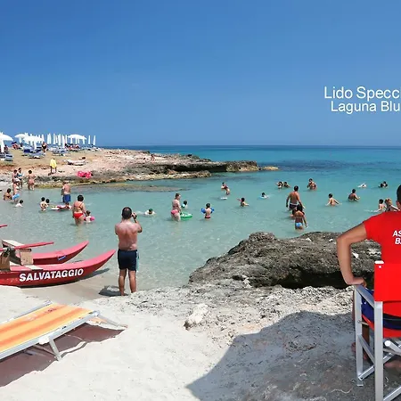 Posidonia * سبيكتشيولا