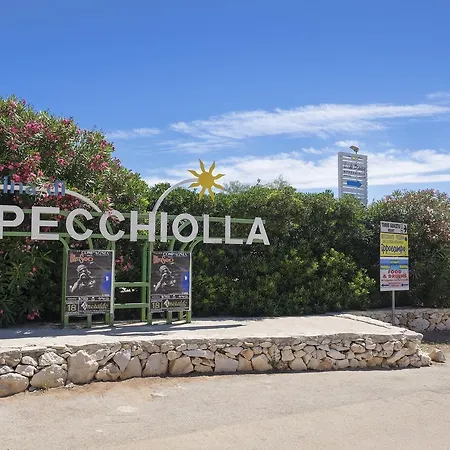 Apartment Posidonia *